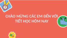 Giáo án powerpoint Thực hành và Trải nghiệm: Tìm hiểu về chiều cao của cây ở trường em | Chân trời sáng tạo Toán lớp 2