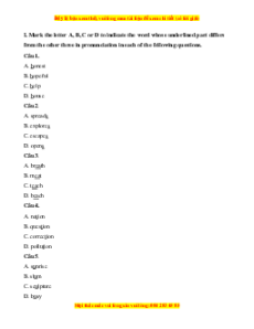 Trắc nghiệm Unit 11: Achievements Tiếng anh 10 Cánh diều