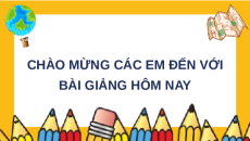 Giáo án Powerpoint Bài 8: Tế bào nhân sơ Sinh học 10 Chân trời sáng tạo