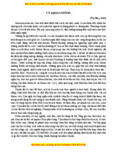 Phiếu bài tập Tuần 4 Củ khoai nướng Ngữ văn 7