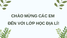 Giáo án Powerpoint Bài 13 Địa lí 12 Chân trời sáng tạo: Vấn đề phát triển lâm nghiệp và thuỷ sản