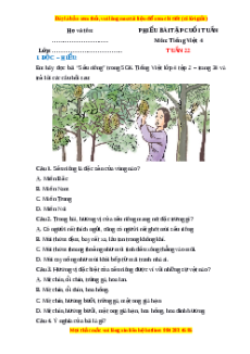 Bài tập cuối tuần Tiếng việt 4 Tuần 22 (có lời giải)