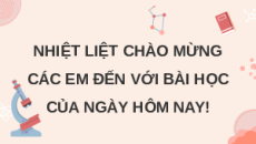 Giáo án Powerpoint Bài 43: Cơ chế tiến hoá KHTN 9 Cánh diều