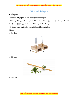 Lý thuyết Khoa học tự nhiên 7 Chân trời sáng tạo Bài 12: Mô tả sóng âm