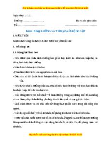 Giáo án Dinh dưỡng và tiêu hóa ở động vật Sinh học 11 Kết nối tri thức