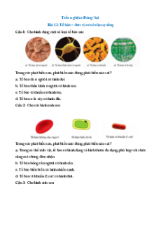 Trắc nghiệm KHTN 6 Cánh diều phần Sinh học (có đúng sai)