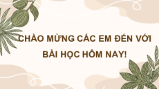 Giáo án Powerpoint Bài 4 Sinh học 11 Chân trời sáng tạo: Quang hợp ở thực vật