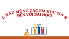 Giáo án Powerpoint Peptide, protein và enzyme Hóa học 12 Cánh diều