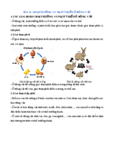 Lý thuyết Sinh trưởng và phát triển ở động vật KHTN 7 Cánh diều