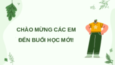 Giáo án Powerpoint Bài 24 Khoa học lớp 5 Chân trời sáng tạo: Các giai đoạn phát triển của con người