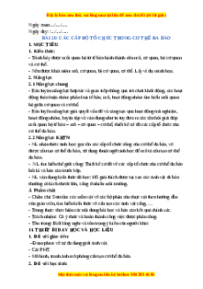 Giáo án Bài 20 KHTN 6 Chân trời sáng tạo (2024): Các cấp độ tổ chức trong cơ thể đa bào