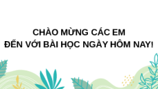 Giáo án Powerpoint Bài 12 Lịch sử 6 Kết nối tri thức: Sự hình thành và bước đầu phát triển của các vương quốc ở Đông Nam Á (từ thế kỉ 7 đến thế kỉ 10)