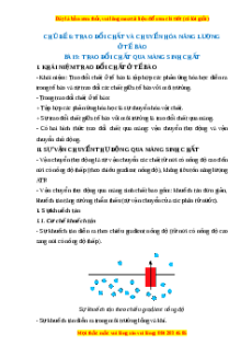 Lý thuyết Sinh học 10 Cánh diều Bài 9: Trao đổi chất qua màng sinh chất