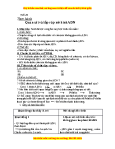Giáo án Thực hành: Quan sát và lắp mô hình ADN Sinh học 9