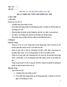 Giáo án Bài 42 KHTN 9 Kết nối tri thức (2024): Nhiễm sắc thể và bộ nhiễm sắc thể