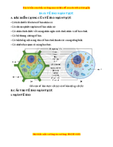 Lý thuyết Sinh học 10 Chân trời sáng tạo Bài 9: Tế bào nhân thực