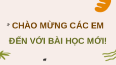 Giáo án Powerpoint Chuyên đề Bài 5: Ứng dụng công nghệ sh trong sx đệm lót sinh học 11 Kết nối tri thức