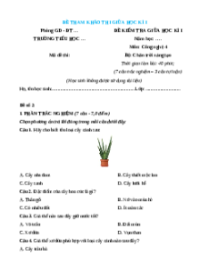 Đề thi giữa kì 1 Công nghệ lớp 4 Chân trời sáng tạo (Đề 3)