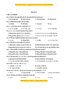 Đề thi cuối kì 1 Địa lý 10 Kết nối tri thức (đề 5)