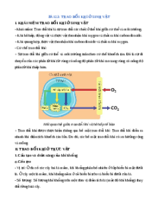 Lý thuyết Trao đổi khí ở sinh vật KHTN 7 Cánh diều
