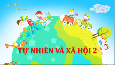 Giáo án Powerpoint Bài 2 Tự nhiên xã hội lớp 2 Chân trời sáng tạo: Nghề nghiệp của người thân trong gia đình