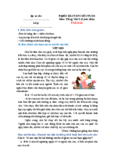 Bài tập cuối tuần Tiếng Việt lớp 5 Cánh diều Tuần 34