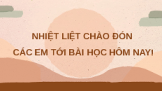 Giáo án Powerpoint Bài 1 Sinh học 11 Chân trời sáng tạo: Khái quát về trao đổi chất và chuyển hóa năng lượng ở sinh vật