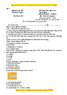 Đề thi cuối kì 2 Tin học 8 Chân trời sáng tạo (Đề 4)