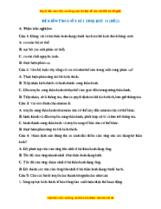Đề thi giữa kì 2 Sinh học 11 Cánh diều (Đề 2)