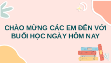 Giáo án Powerpoint Bài 30: Thực hành phân loại thực vật KHTN 6 Chân trời sáng tạo