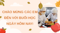 Giáo án Powerpoint Ôn tập chương II Công nghệ 9 Chế biến thực phẩm Kết nối tri thức