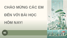 Giáo án Powerpoint Bài 22: Tiến hoá lớn và quá trình phát sinh chủng loại Sinh học 12 Kết nối tri thức