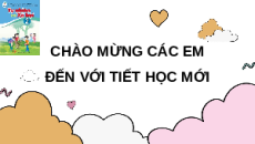 Giáo án Powerpoint Chủ đề 4 Bài 12 Tự nhiên xã hội lớp 2 Cánh diều: Bảo vệ môi trường sống của thực vật và động vật