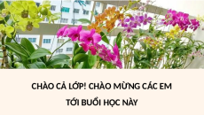 Giáo án Powerpoint Bài 8: Kĩ thuật trồng và chăm sóc hoa phong lan Chuyên đề Công nghệ trồng trọt 10 Kết nối tri thức