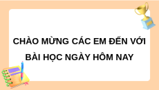 Giáo án Powerpoint Ôn tập chương 3  Sinh học 10 Chân trời sáng tạo