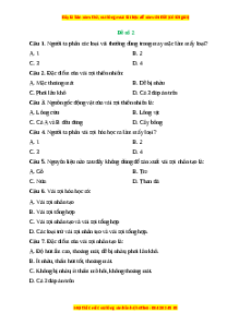 Đề thi giữa kì 2 Công nghệ 6 Chân trời sáng tạo (Đề 2)