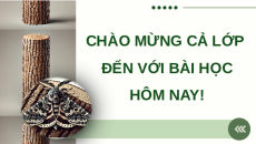 Giáo án Powerpoint Bài 17: Thuyết tiến hoá tổng hợp hiện đại Sinh học 12 Chân trời sáng tạo