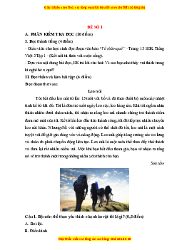 Đề thi giữa kì 1 Tiếng Việt lớp 3 Kết nối tri thức (đề 1)