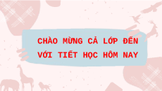 Giáo án Powerpoint Bài tập cuối chương 2 Toán 9 Cánh diều