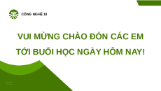 Giáo án Powerpoint Bài 13: Một số mô hình trồng trọt theo tc VietGAP Chuyên đề Công nghệ trồng trọt 10 Kết nối tri thức