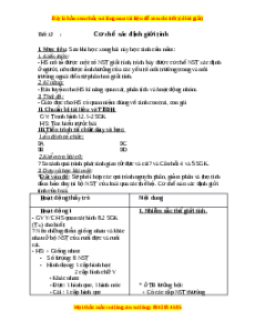 Giáo án Cơ chế xác định giới tính Sinh học 9