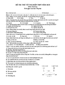 Đề thi thử tốt nghiệp Sinh học 2025 trường THPT Nguyễn Huệ