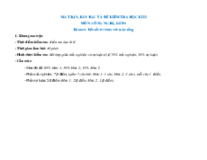 6 Đề thi cuối kì 2 Công nghệ lớp 4 Kết nối tri thức có đáp án