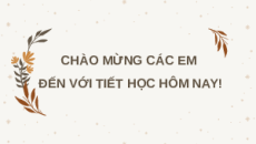 Giáo án Powerpoint Bài 8: Sử dụng và bảo quản trang phục Công nghệ 6 Kết nối tri thức