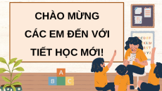 Giáo án Powerpoint Luyện từ và câu: Luyện tập về tính từ Tiếng việt lớp 4 Chân trời sáng tạo (Phiên bản 2)