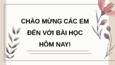 Giáo án Powerpoint Thực hành: Nhân giống vô tính và thụ phấn cho cây Sinh học 11 Kết nối tri thức