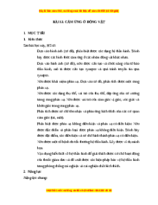 Giáo án Cảm ứng ở động vật Sinh học 11 Cánh diều