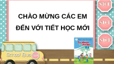 Giáo án Powerpoint Chủ đề 4 Tự nhiên xã hội lớp 2 Cánh diều: Ôn tập và đánh giá - Chủ đề Thực vật và động vật