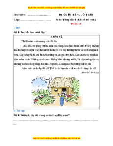 Bài tập cuối tuần Tiếng việt lớp 1 Tuần 30 Kết nối tri thức (có lời giải)