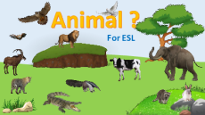 Trò chơi powerpoint Động vật